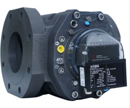FMG Rotary Gas Meter